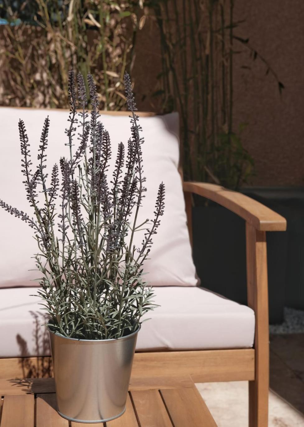 Apartment Renove Avec Belle Terrasse Aix-en-Provence